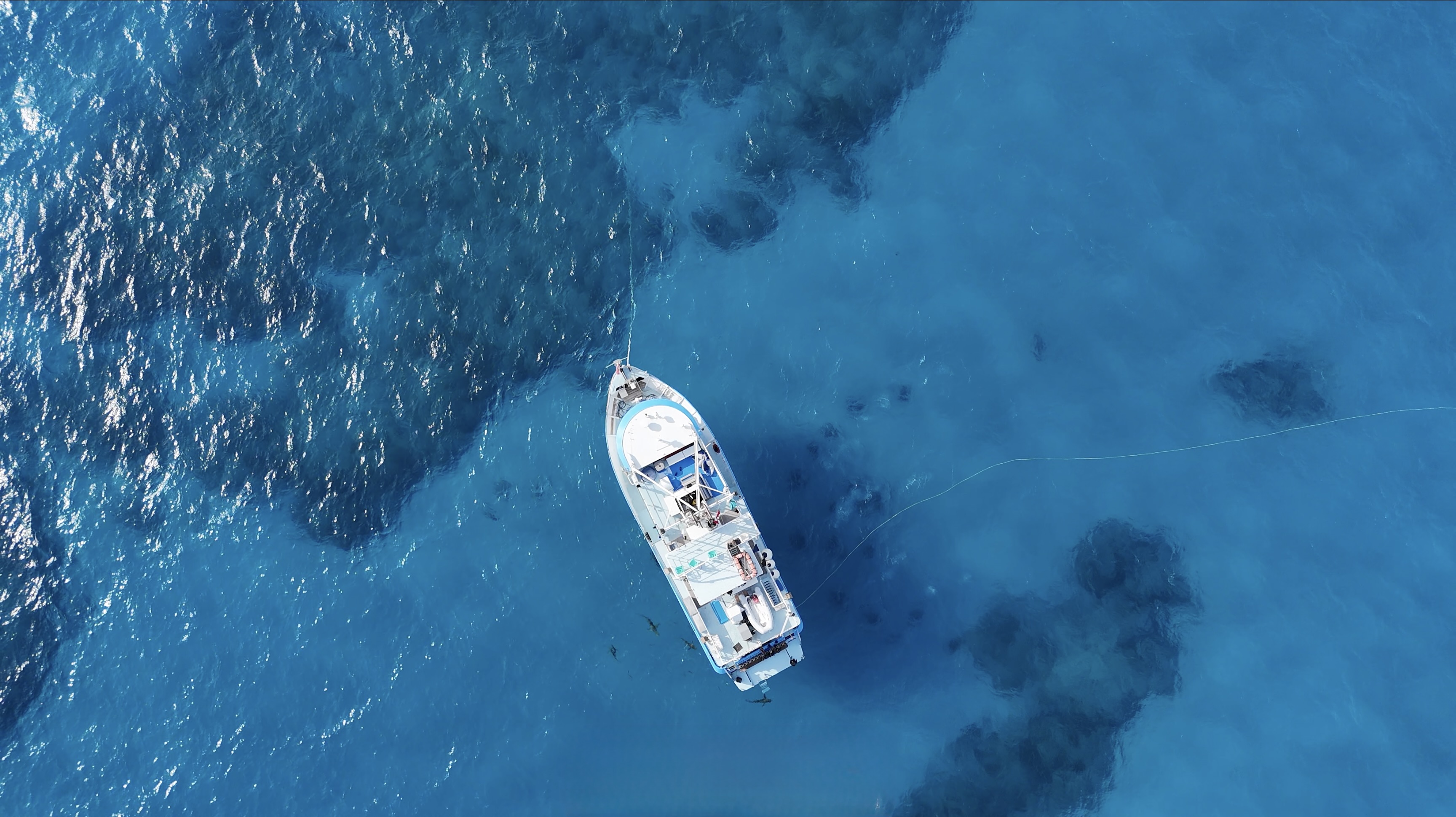 A drone view of the Dolphin Dream liveaboard in clear blue Bahamian water with divers below the surface.